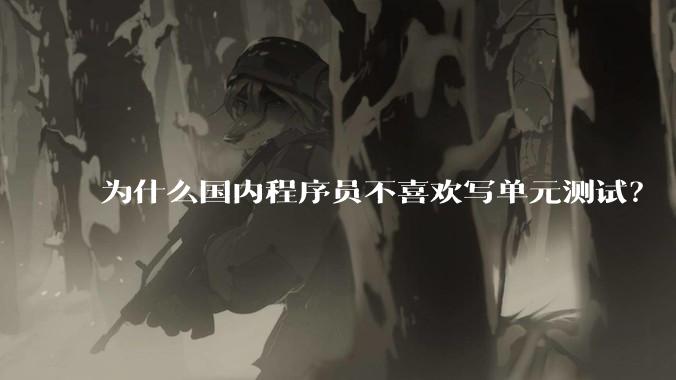 为什么国内程序员不喜欢写单元测试？
